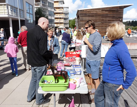 Rekordmånga besökare kom till Gåshagadagen