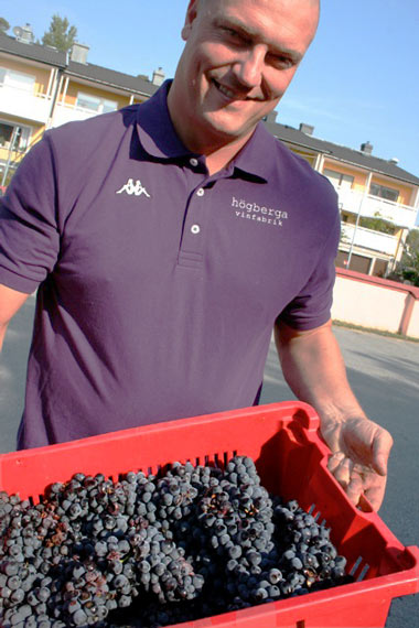 Johan Hjort  med egenhändigt plockade druvor från Toscana. Foto: Inger Grimlund