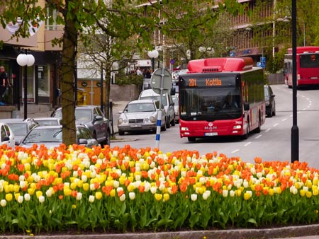 När tulpanerna blommar i Lidingö centrum i juni om två år, 2014, kommer den planerade omröstningen om Centrum/Torsvik förmodligen att hållas.